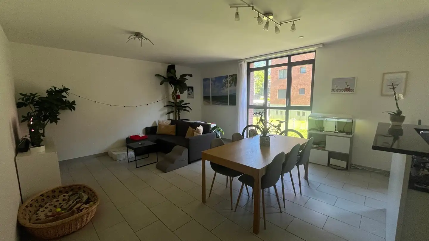 Wohnung mieten - 6962 Viganello