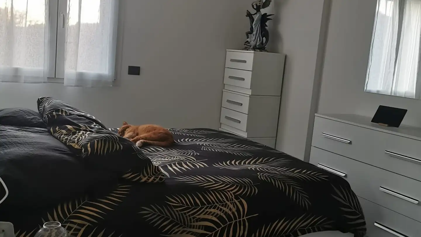 Wohnung mieten - Via Bressanella 14, 6828 Balerna - Foto 3