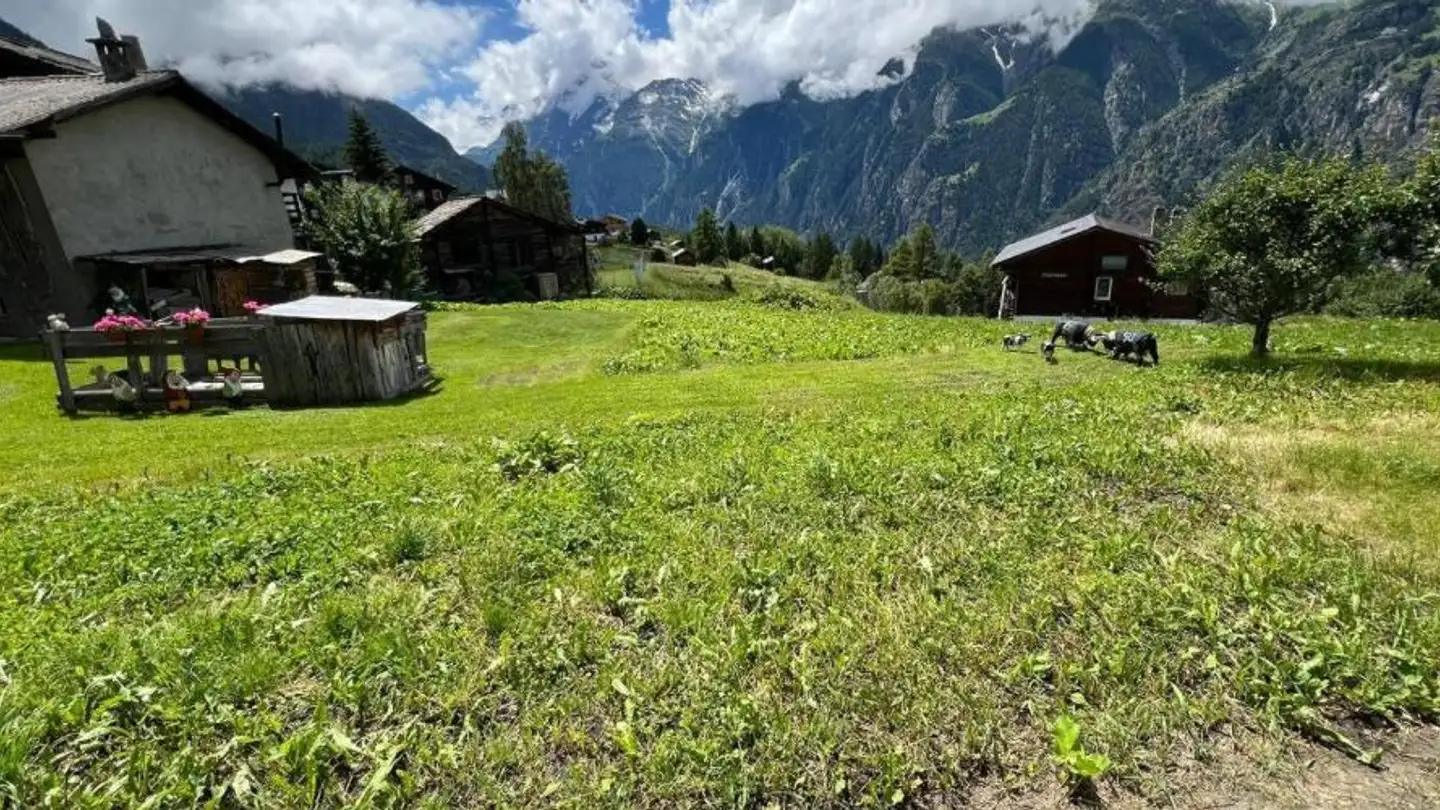 Bauland kaufen - 3925 Grächen