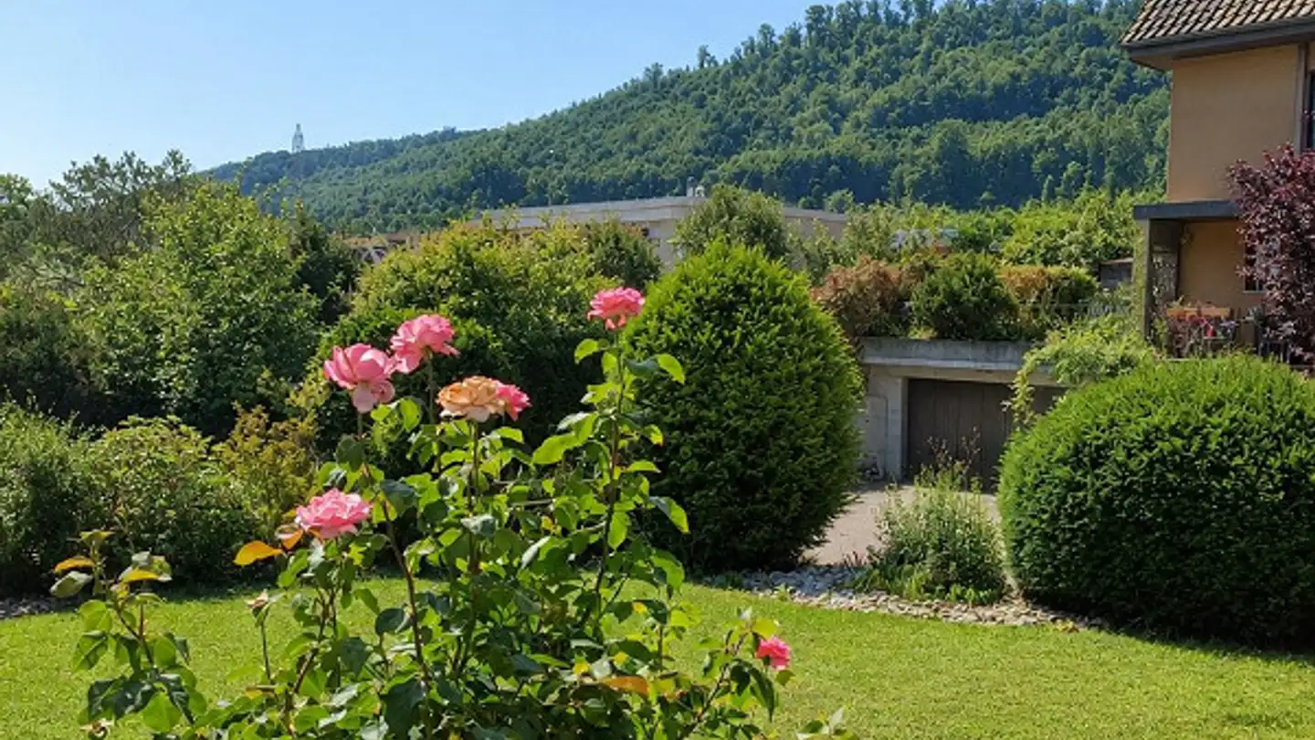 Einfamilienhaus kaufen - Sommergasse 1, 4108 Witterswil - Foto 4