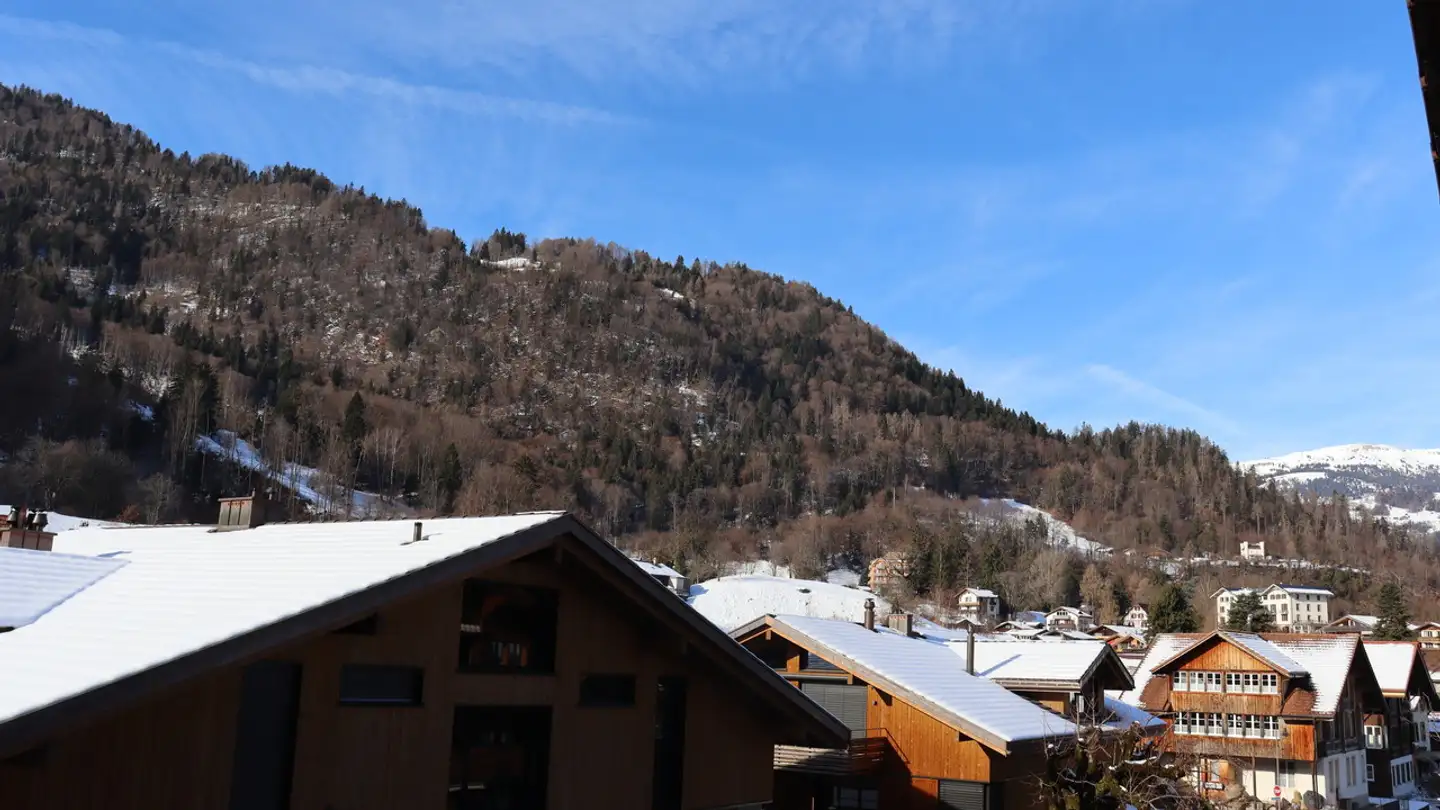 Attique à vendre - 3812 Wilderswil