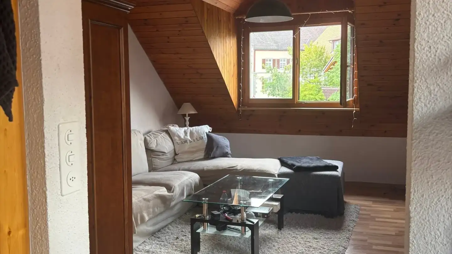 Attic flat for rent - Dorfstrasse 1, 8252 Schlatt TG - Photo 4