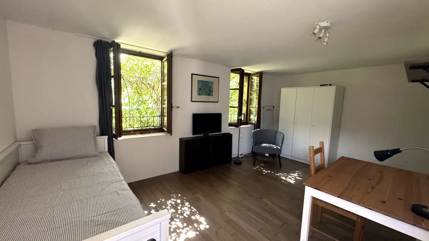 Möblierte Wohnung mieten - Rue De Montbrillant 21, 1201 Genève