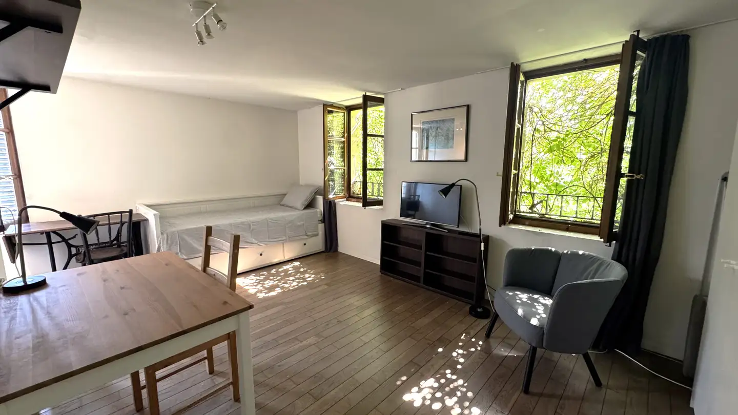 Möblierte Wohnung mieten - Rue De Montbrillant 21, 1201 Genève - Foto 2
