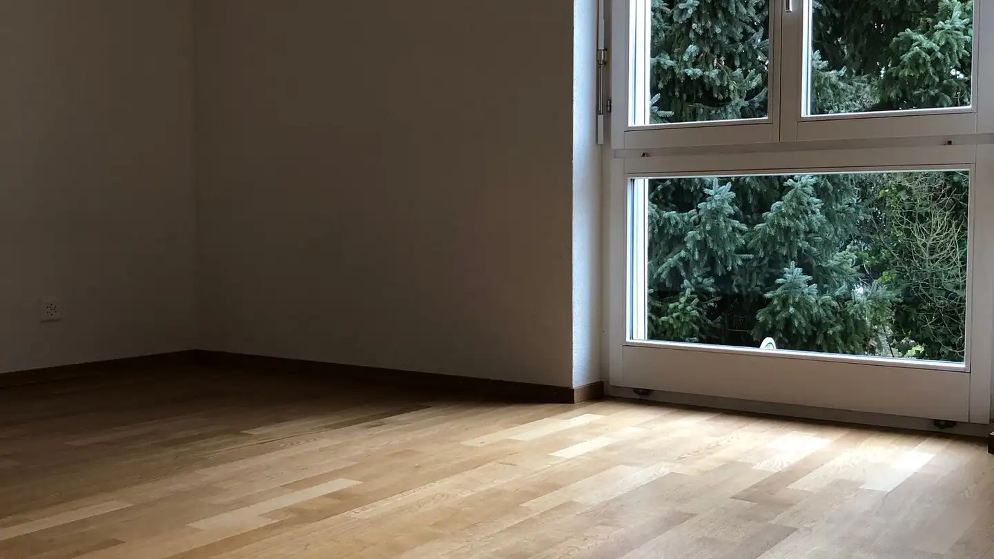 Appartamento in affitto - Erlenweg 8, 4912 Aarwangen - Foto 4