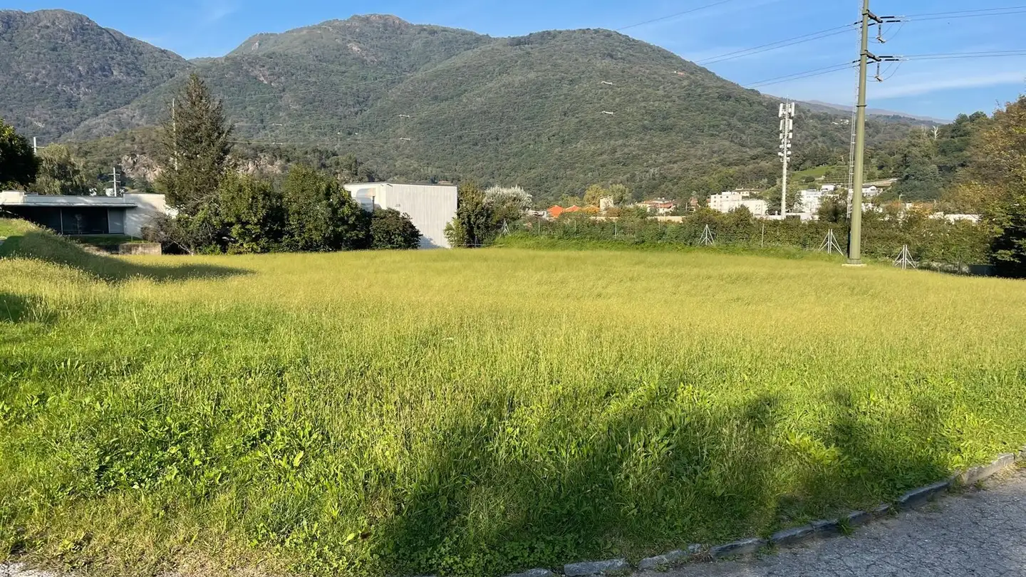 Terreno edificabile commerciale in vendita - 6807 Taverne - Photo 3