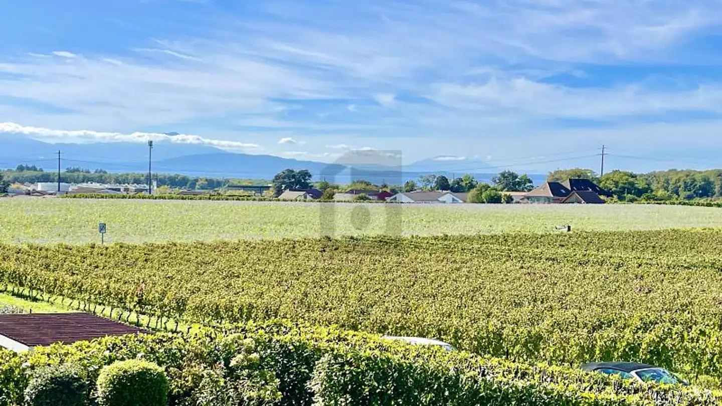 Row house for sale - 1163 Etoy