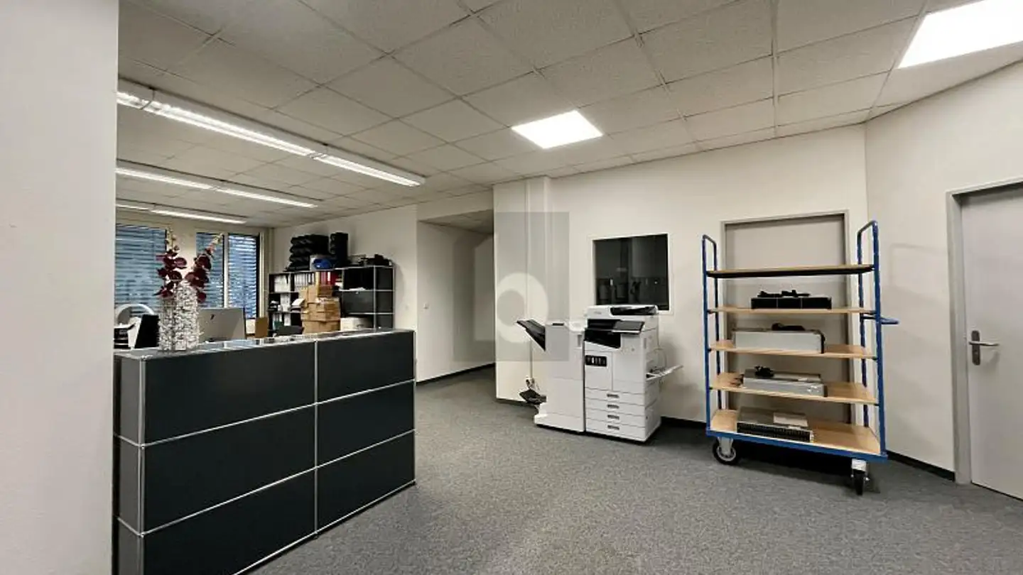 Bürofläche mieten - 8952 Schlieren - Foto 2
