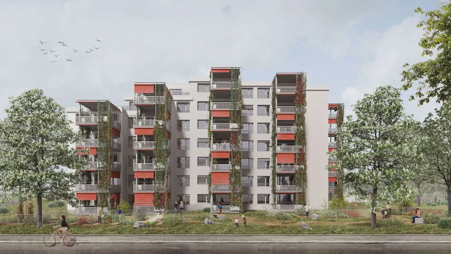 Appartement à louer - Klosterfeldstrasse 25, 5630 Muri AG