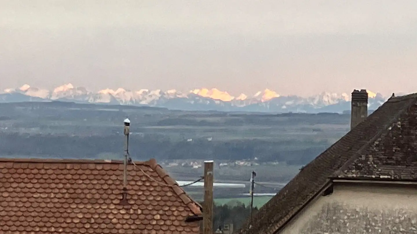 Appartamento in affitto - 1350 Orbe - Foto 4