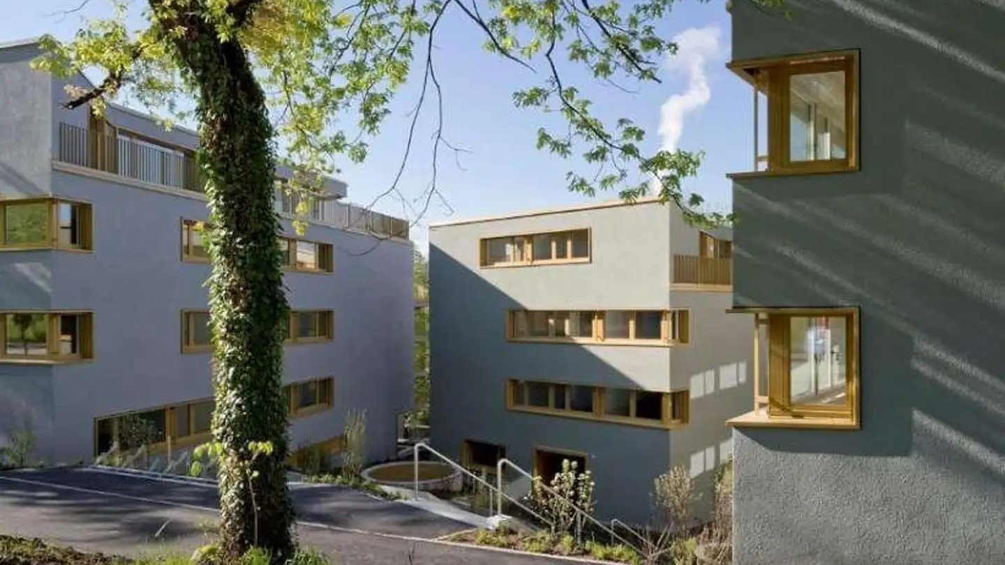 Wohnung mieten - Winzerhalde 109, 8049 Zürich