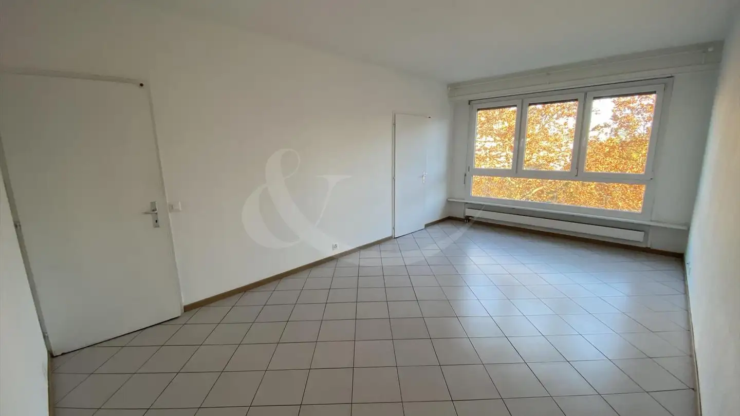 Appartement à vendre - 1203 Genève