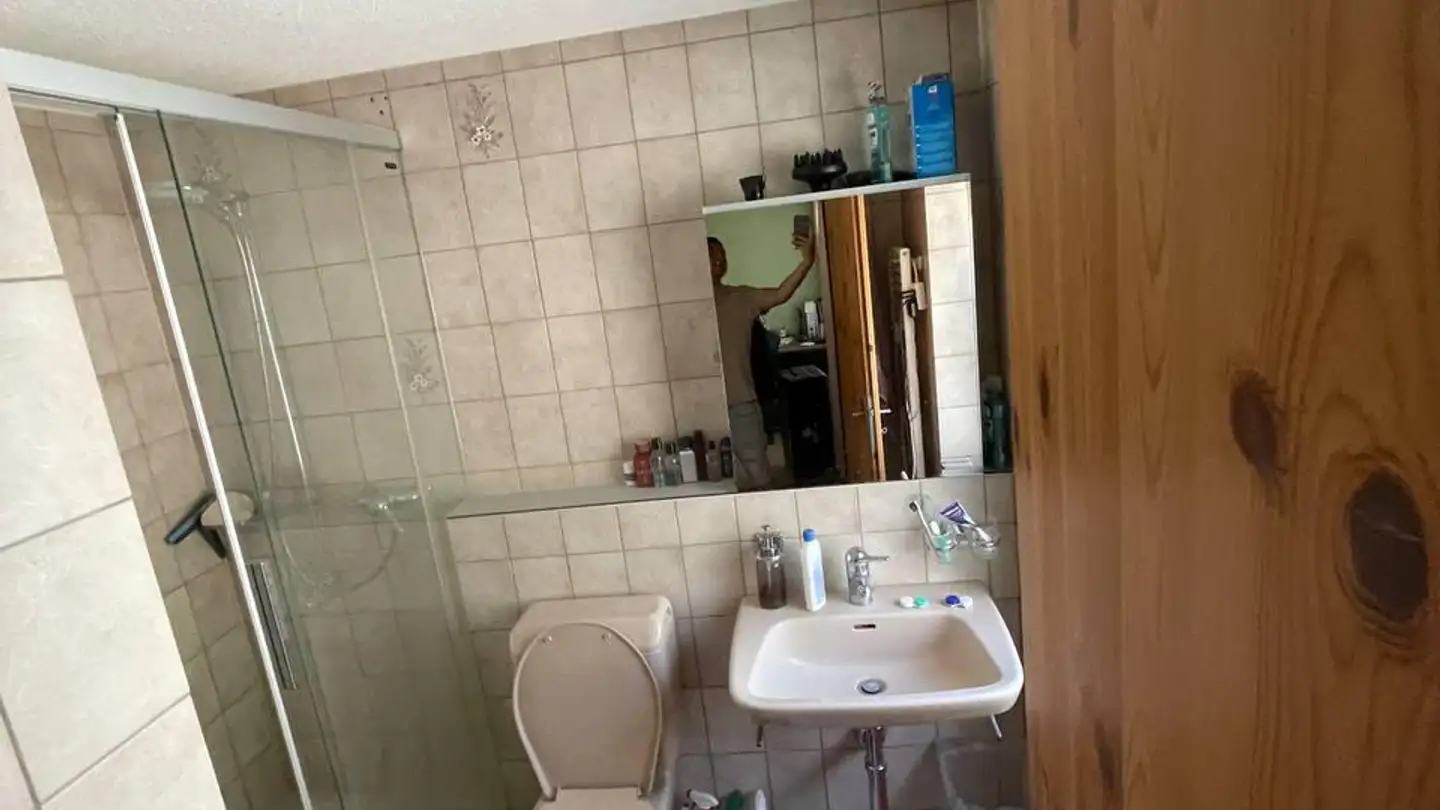 Appartement meublé à louer - Schynstrasse 3, 7411 Sils im Domleschg - Photo 3