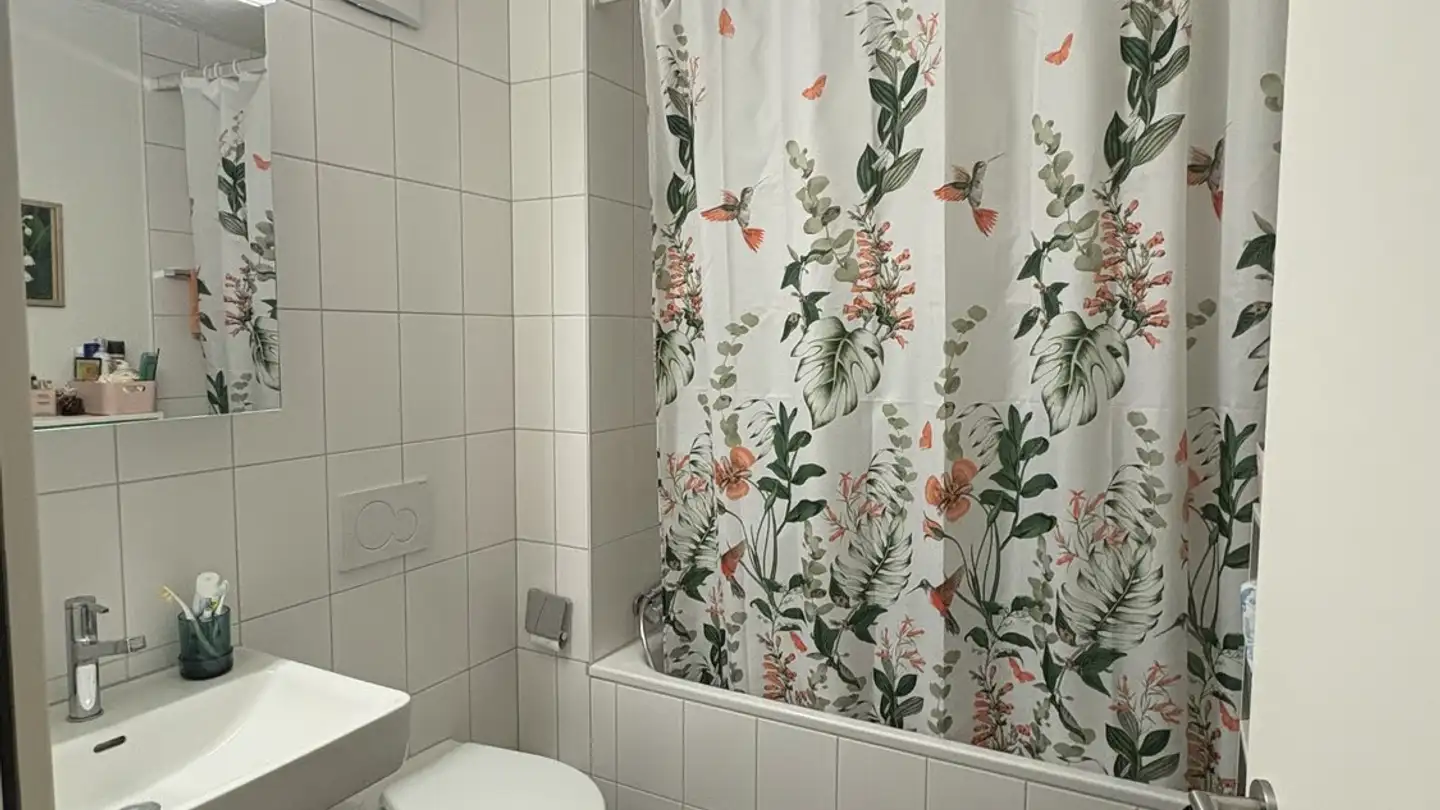 Furnished apartment for rent - Maiengasse 12, 4056 Basel