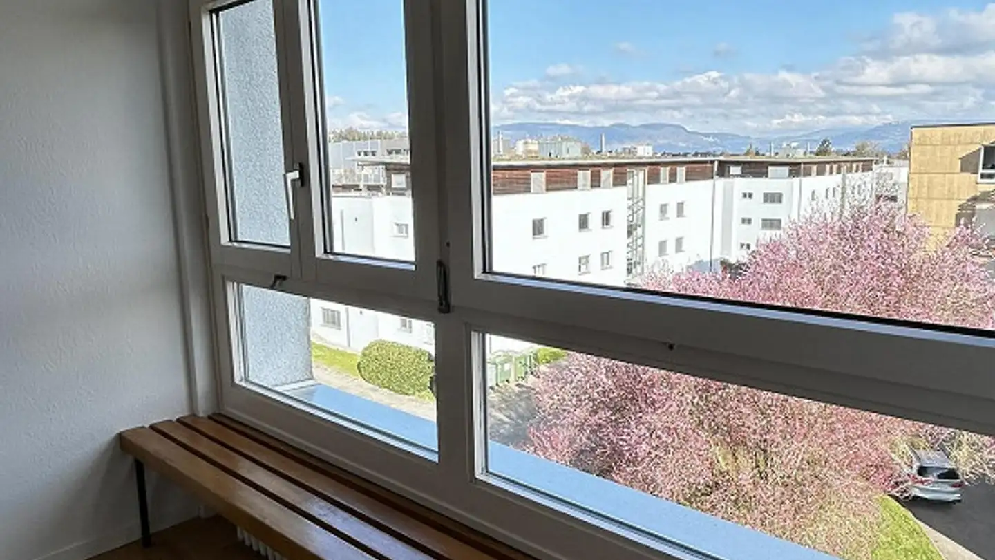 Wohnung mieten - Rumiweg 47, 4900 Langenthal - Foto 4