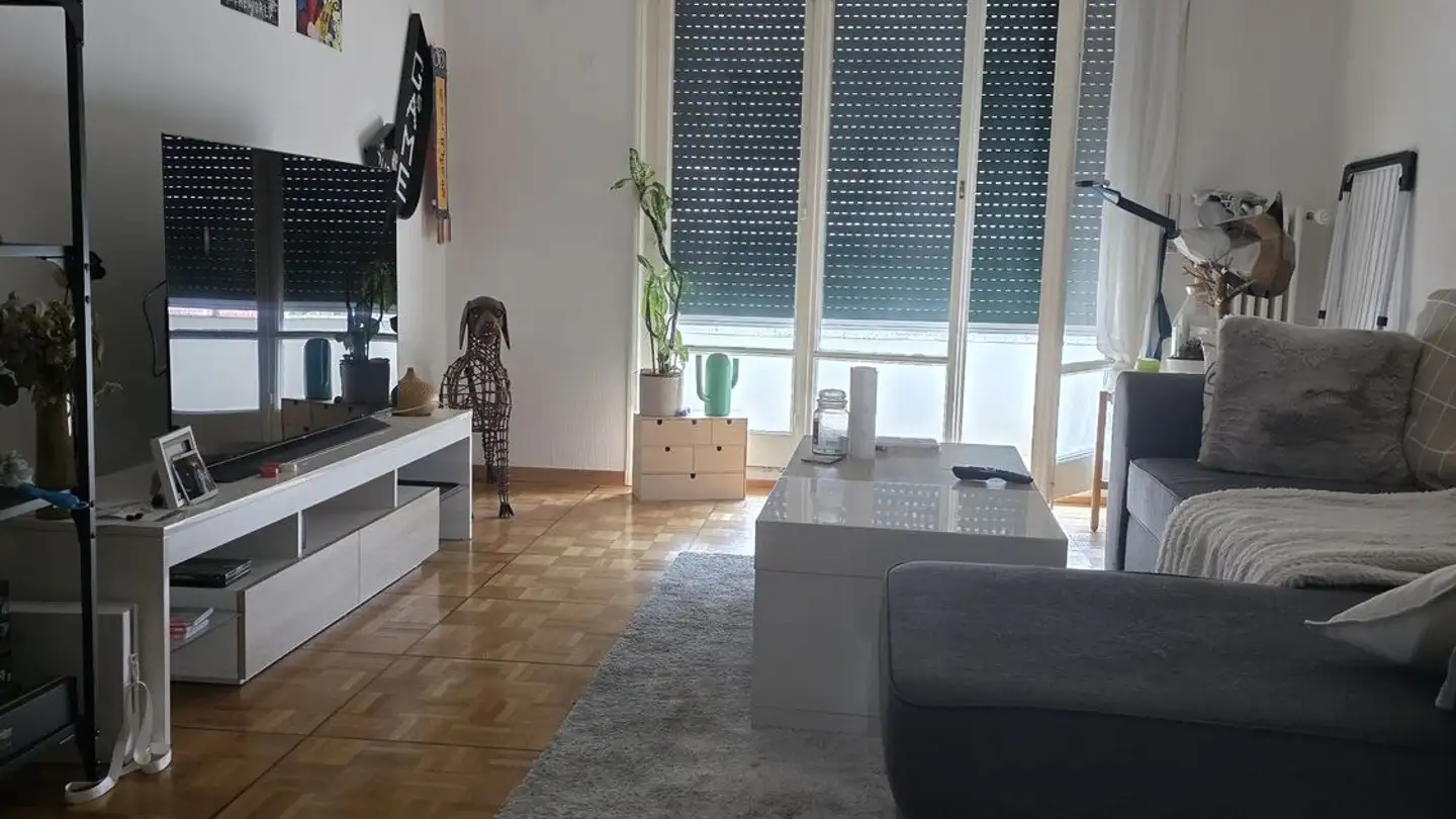 Appartamento in affitto - Avenue Du Tir-Fédéral 18, 1024 Ecublens VD