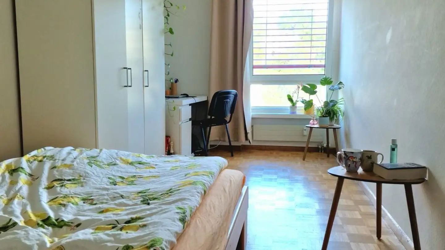 Möblierte Wohnung mieten - 4127 Birsfelden - Foto 2