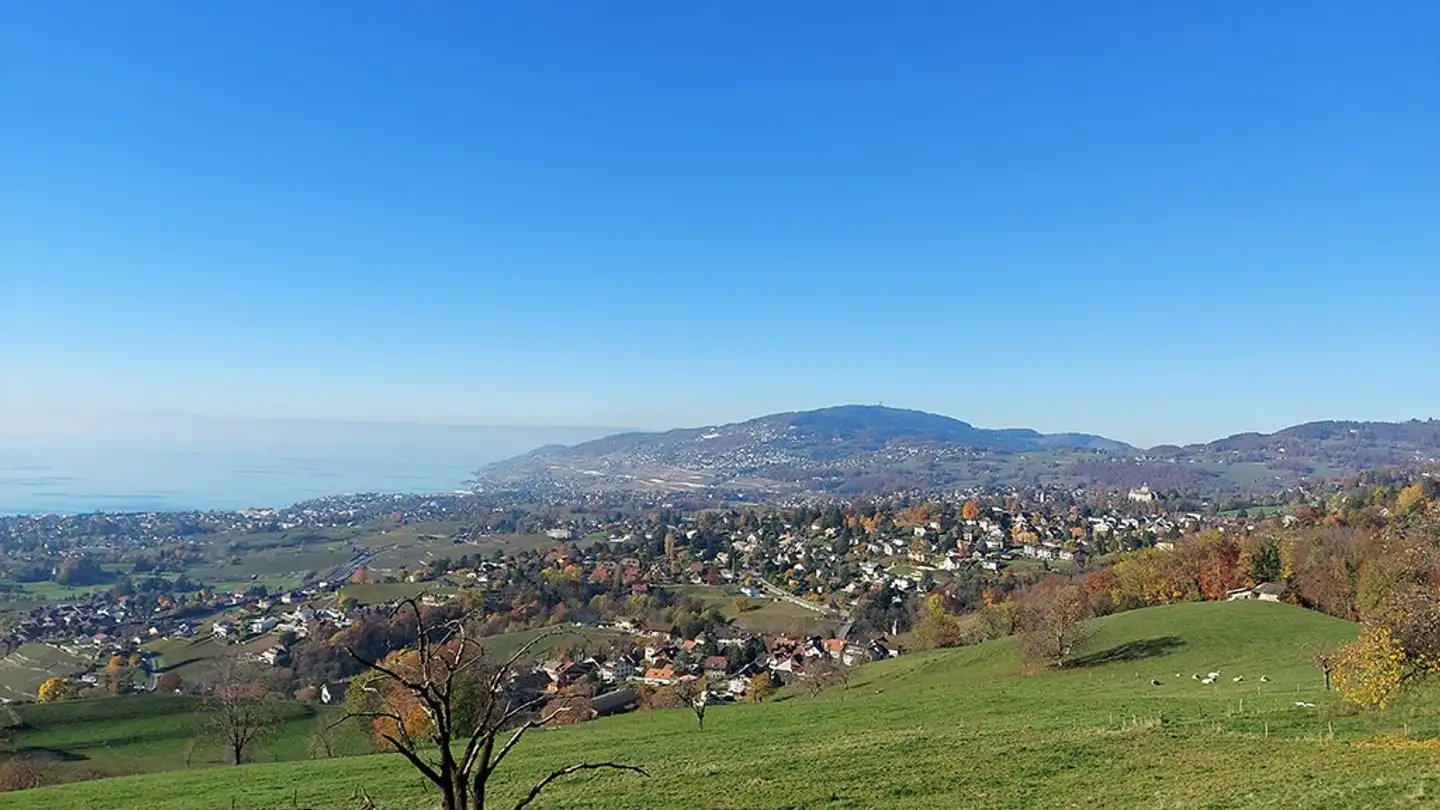 Villa kaufen - 1807 Blonay