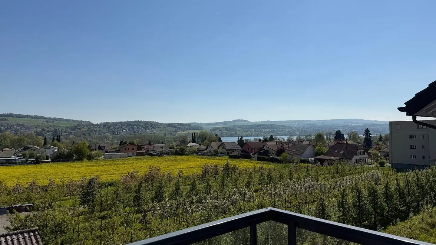 Penthouse mieten - Seengerstrasse 28, 5706 Boniswil - Foto 3