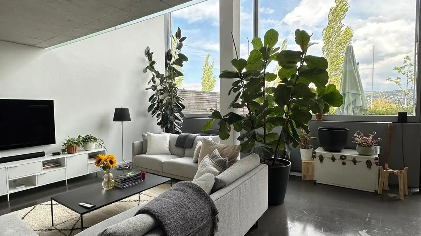 Appartement à louer - 8038 Zürich