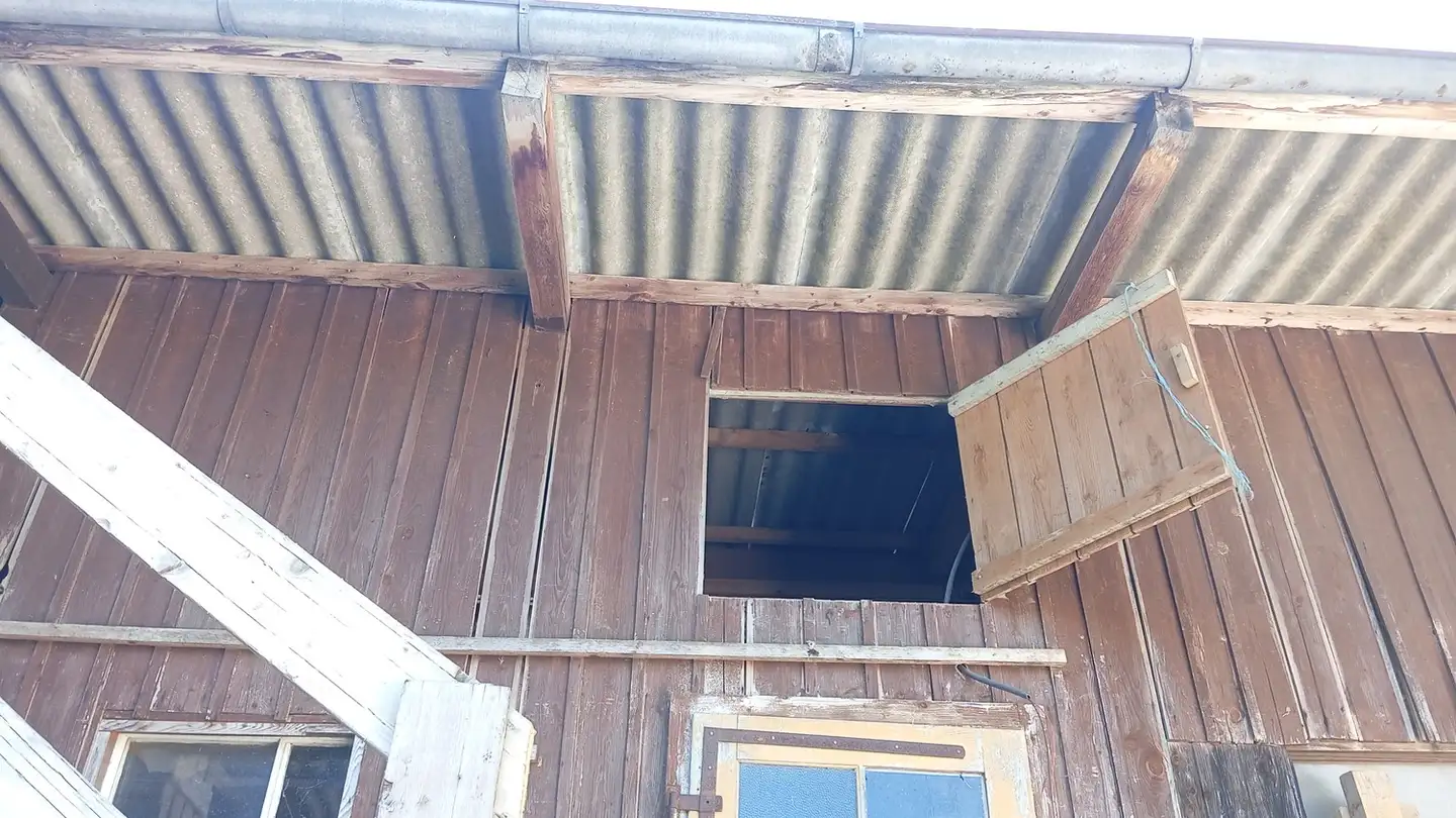 Gewerbe mieten - Riedmühleweg 21, 8474 Dinhard - Foto 3