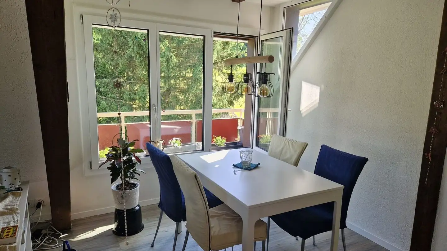 Appartamento in affitto - 8400 Winterthur