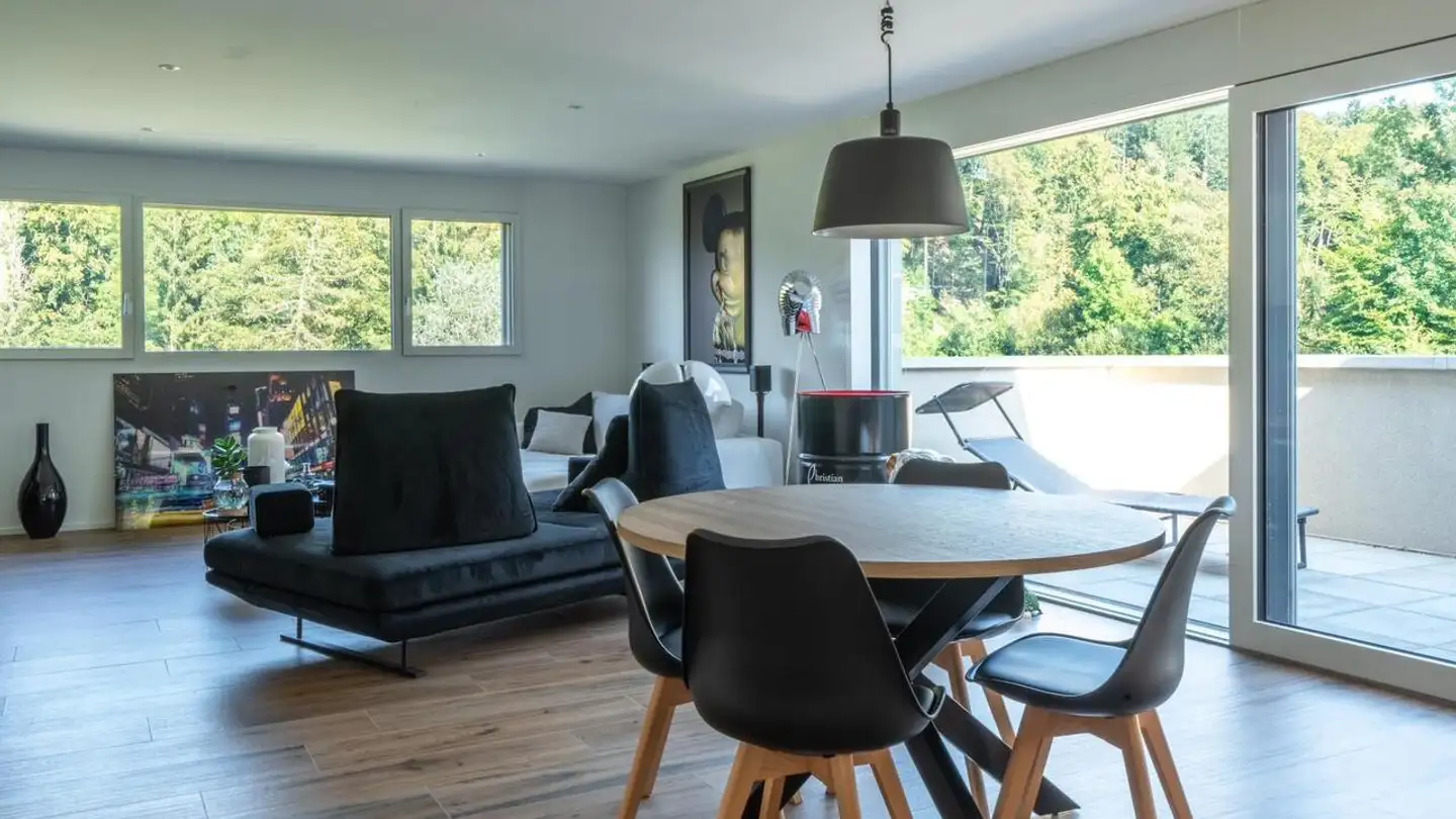 Cave house for rent - Chemin De L'eau-Vive, 1724 Bonnefontaine - Photo 4