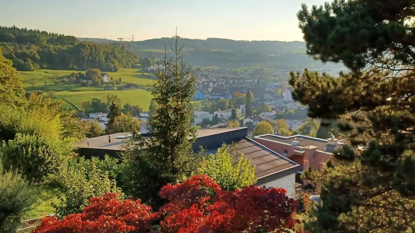 Attico in affitto - Risigrundweg 10, 8903 Birmensdorf ZH - Photo 3