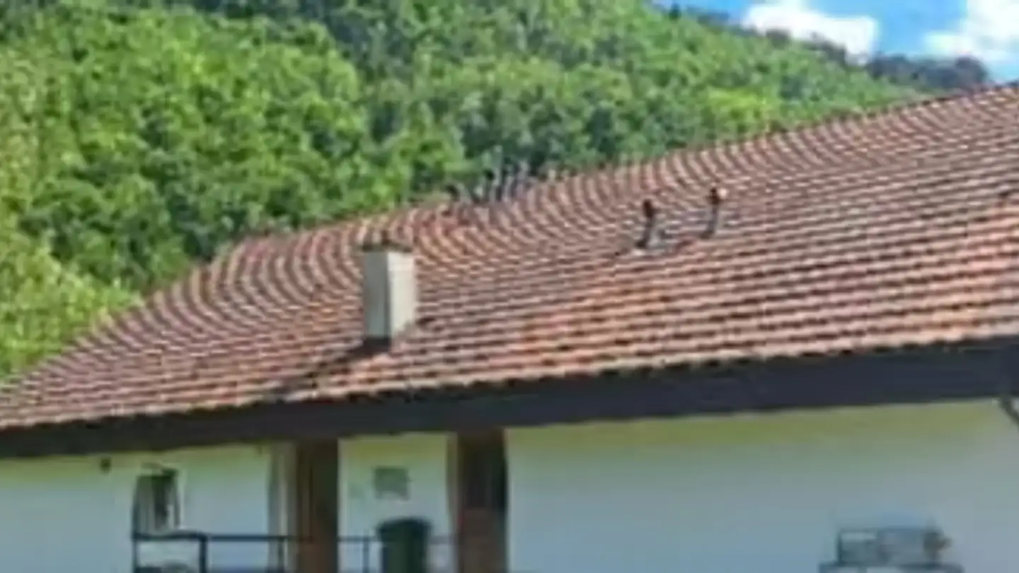 Mehrfamilienhaus kaufen - Milieu Du Village 23, 2762 Roches BE