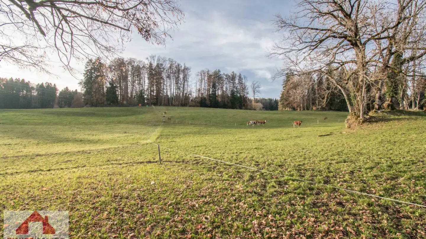 Single house for sale - 1808 Les Monts-de-Corsier