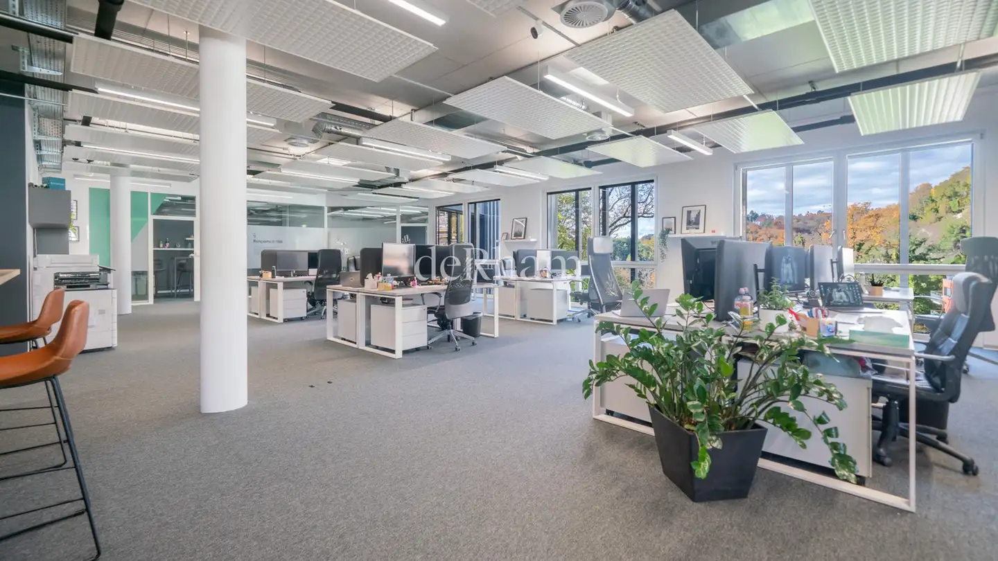 Bürofläche mieten - Route De La Conversion 314, 1093 La Conversion - Foto 3