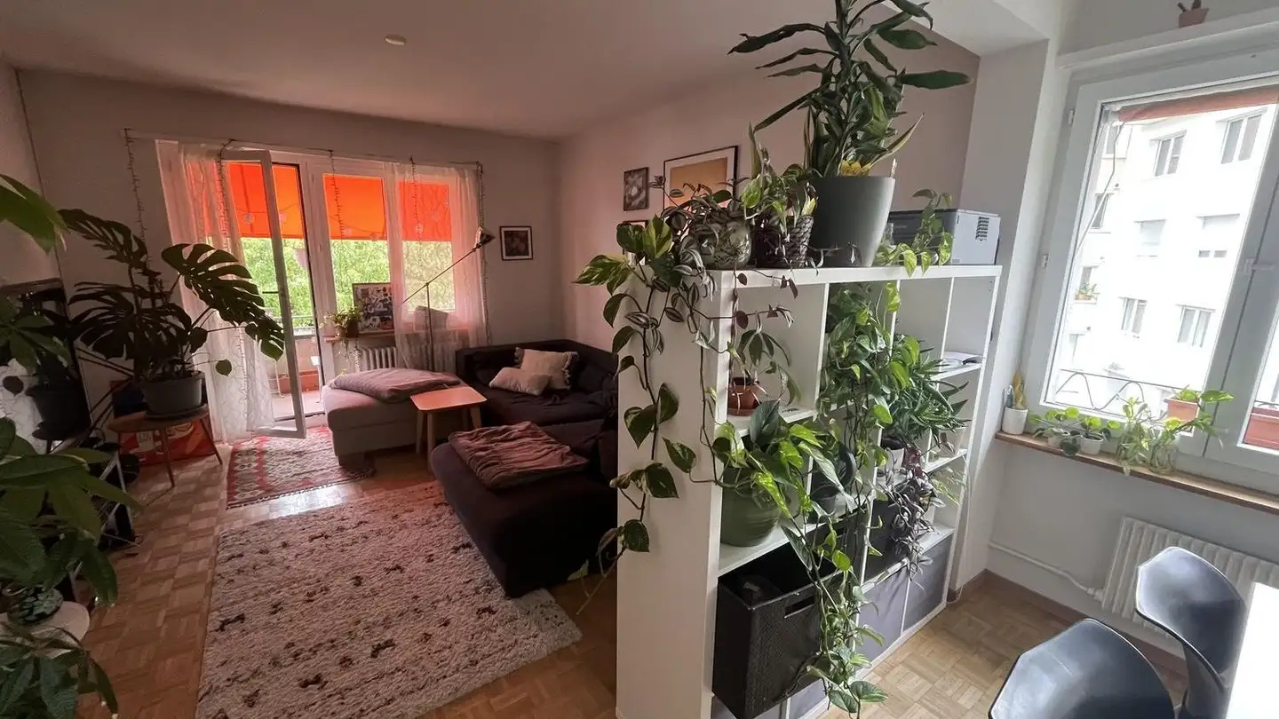 Chambre à louer - 3097 Liebefeld