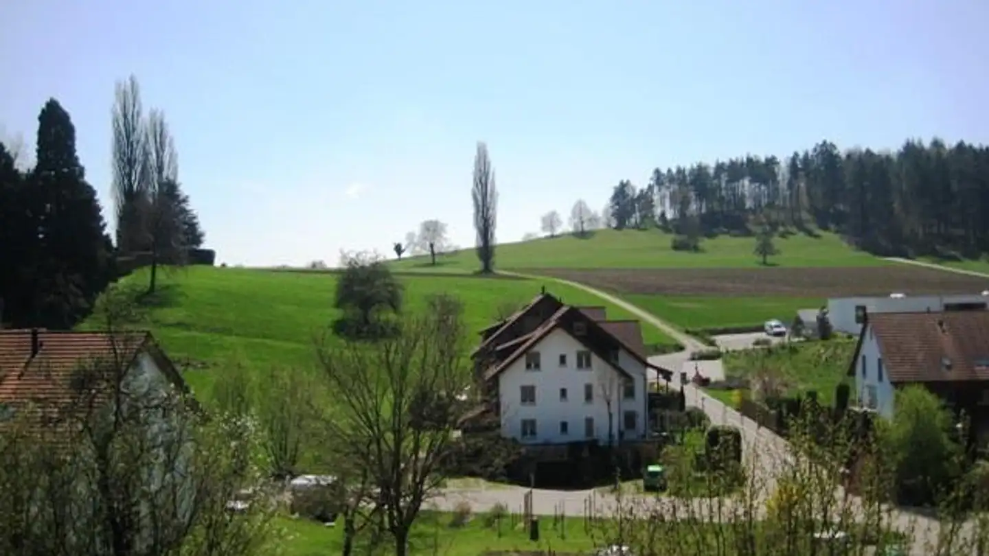 Casa singola in affitto - Sonnhaldenstrasse 18, 8113 Boppelsen