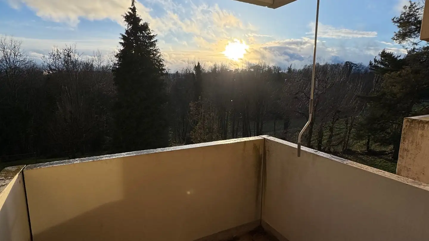 Appartamento in affitto - Avenue Du Delay 9, 1110 Morges