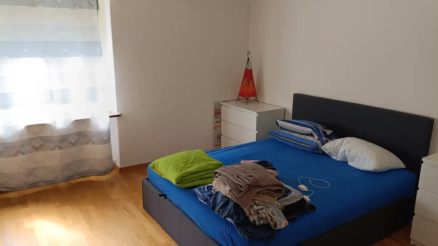 Appartamento in affitto - Binningerstrasse, 4142 Münchenstein - Foto 3