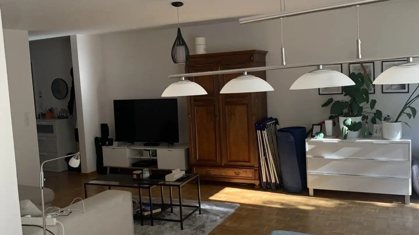 Appartamento in affitto - Wettswilerstrasse 18, 8903 Birmensdorf ZH - Photo 2