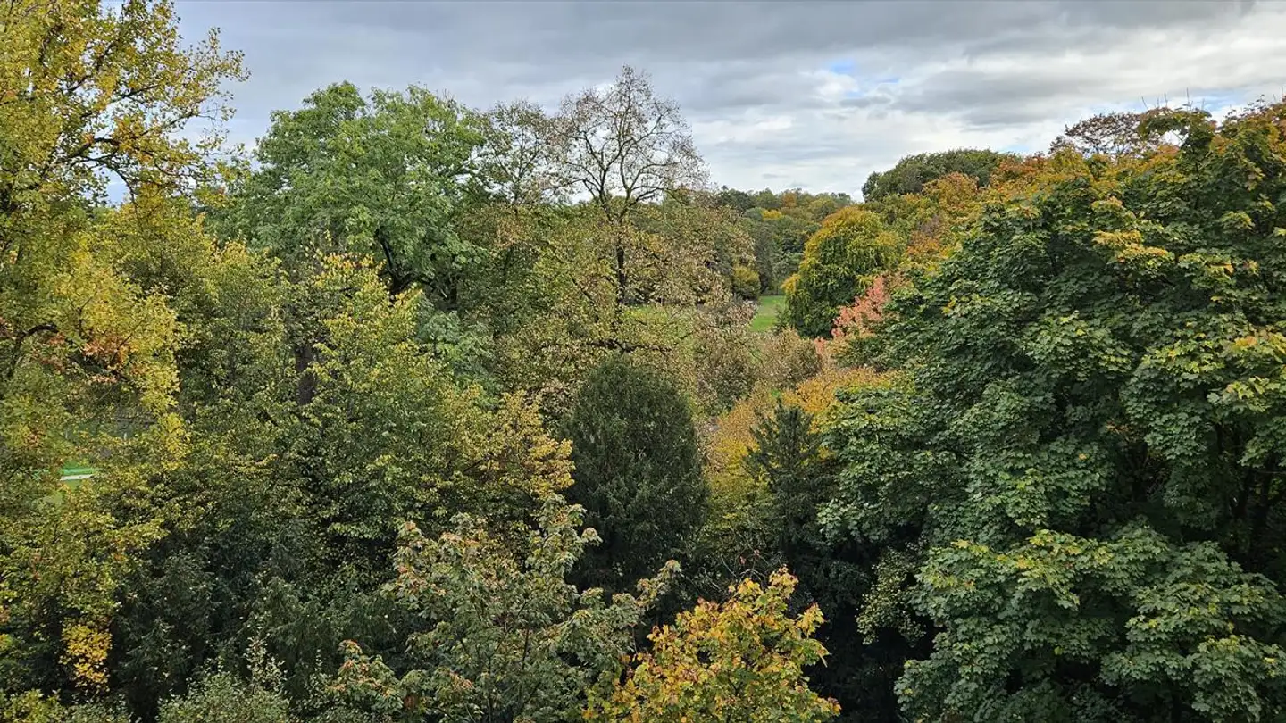 Appartement à vendre - Avenue Alice-Et-William-Favre, 1207 Genève - Photo 2