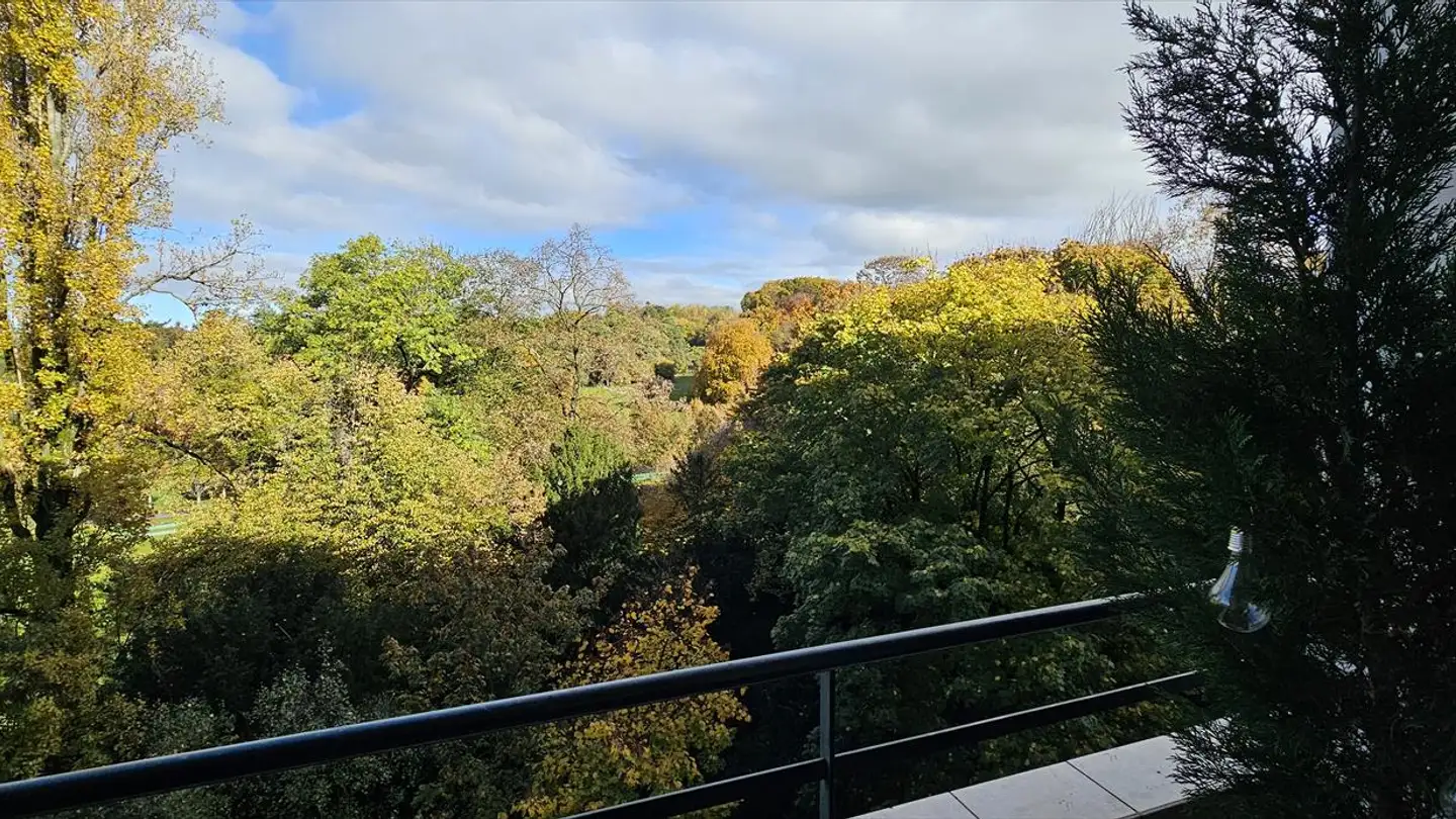 Appartement à vendre - Avenue Alice-Et-William-Favre, 1207 Genève - Photo 3