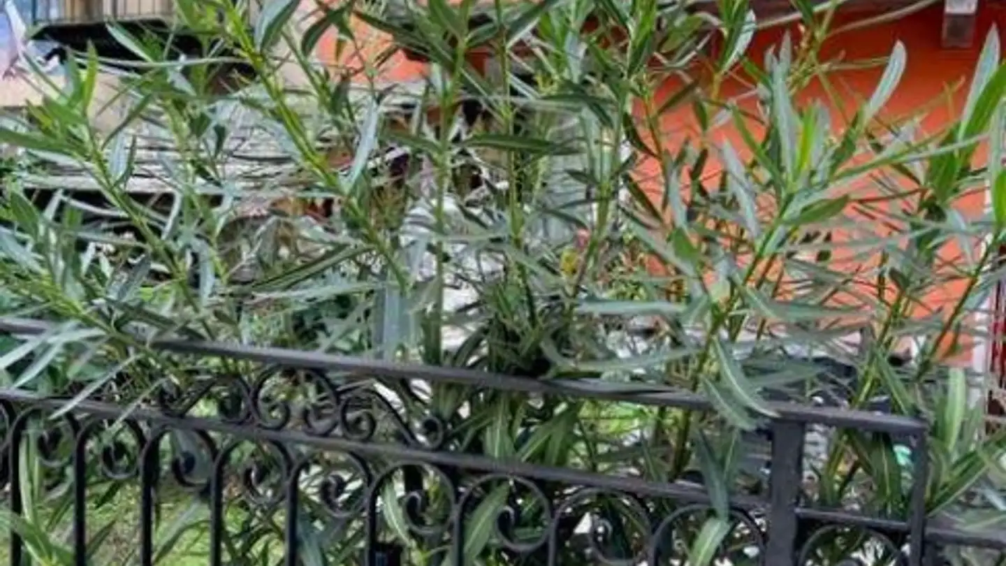 Casa singola in vendita - 6549 Laura - Photo 2