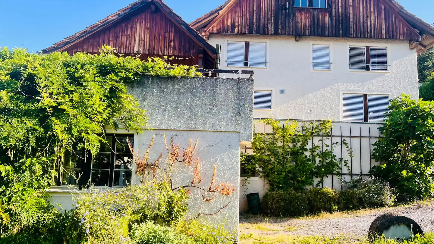 Ferme à louer - Schellenstrasse, 8708 Männedorf - Photo 2