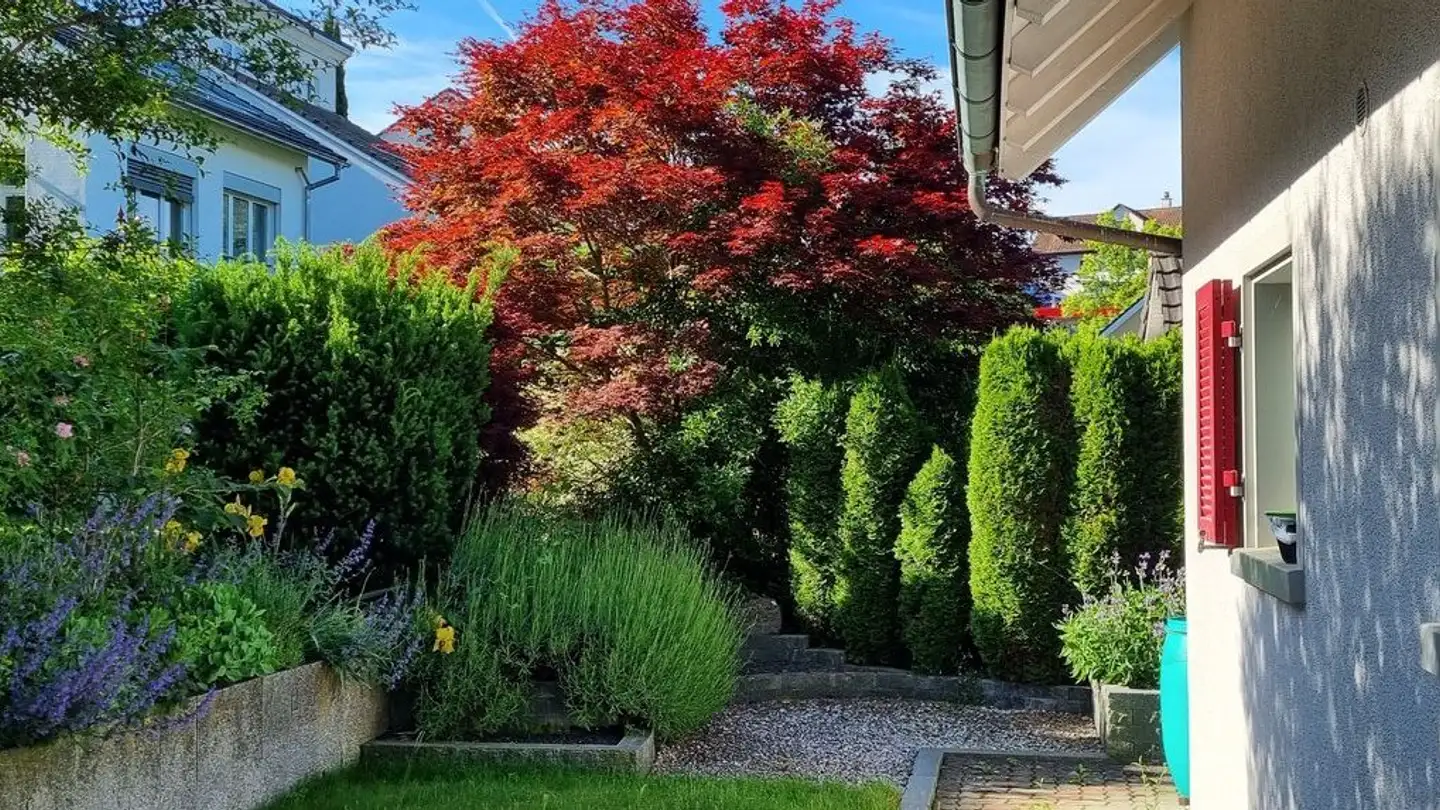 Casa singola in affitto - Im Wolfen 27, 8906 Bonstetten - Photo 3