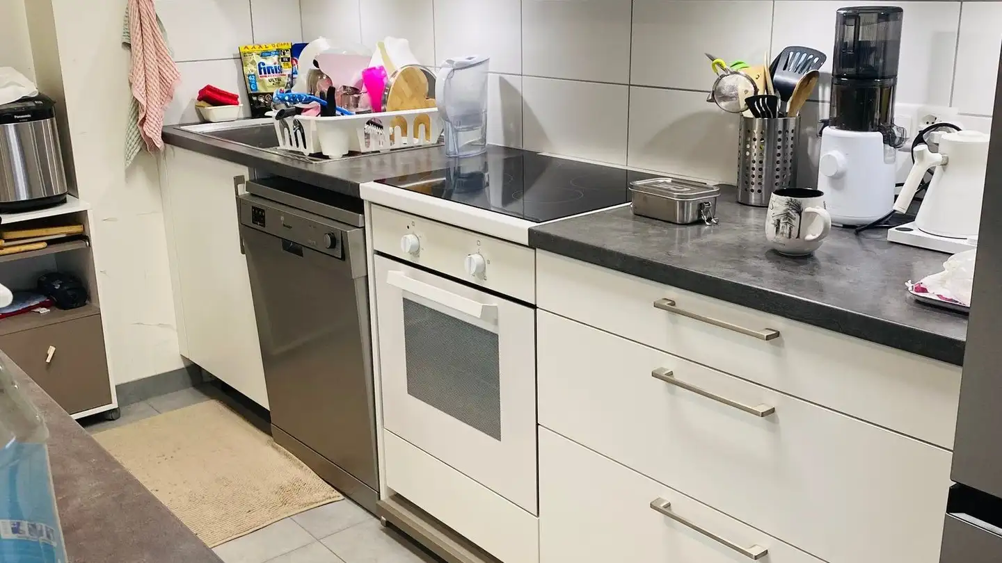 Appartamento in affitto - Chemin De La Caroline 2, 1213 Petit-Lancy - Foto 4