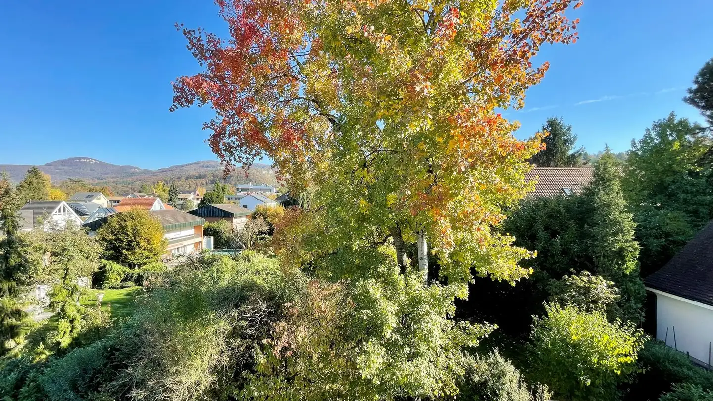 Attic flat for rent - Kirschgartenstrasse 21, 4147 Aesch BL - Photo 4