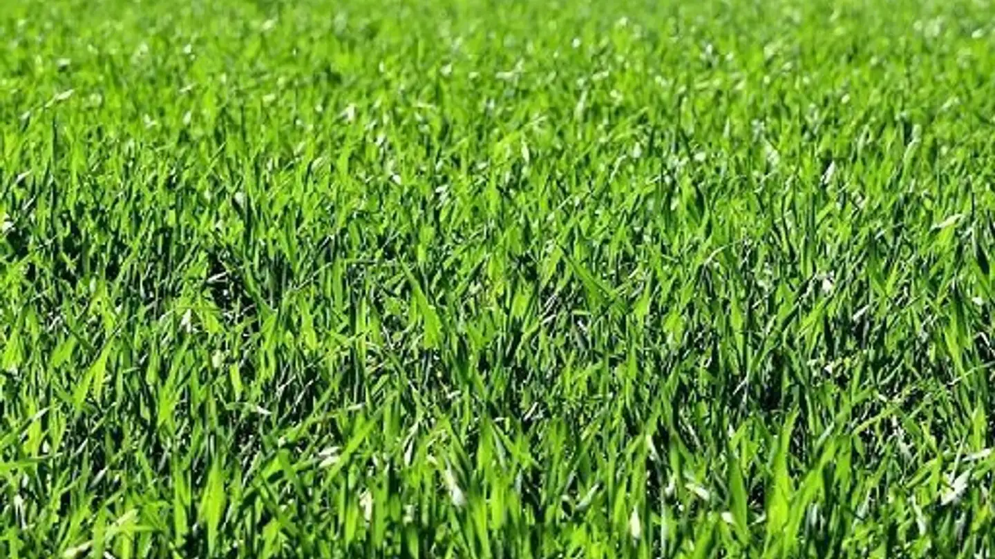 Terrain constructible à vendre - 6702 Claro