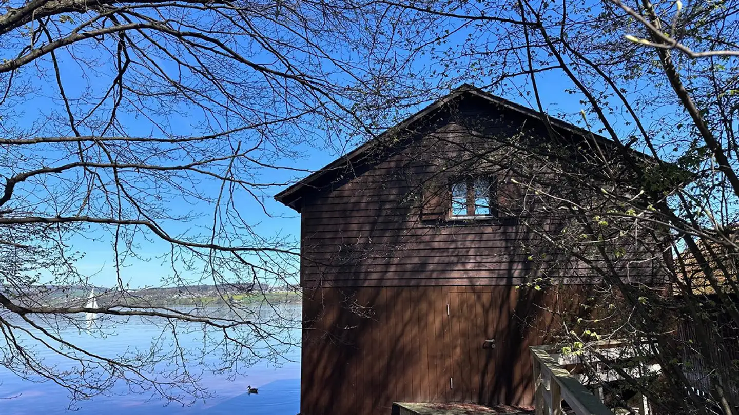 Single house for sale - Staadmattstrasse, 5712 Beinwil am See - Photo 3