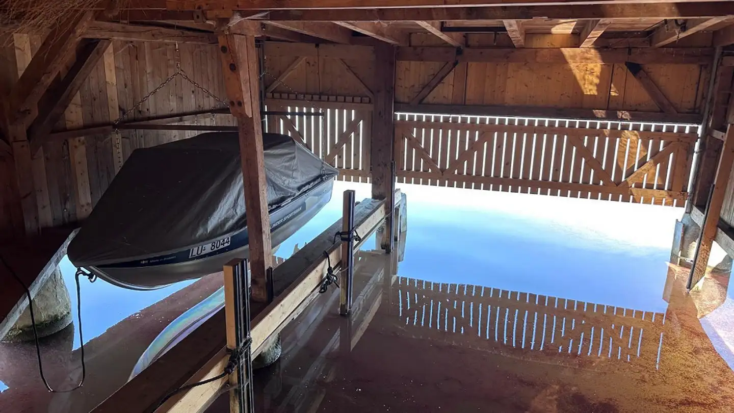 Single house for sale - Staadmattstrasse, 5712 Beinwil am See - Photo 4