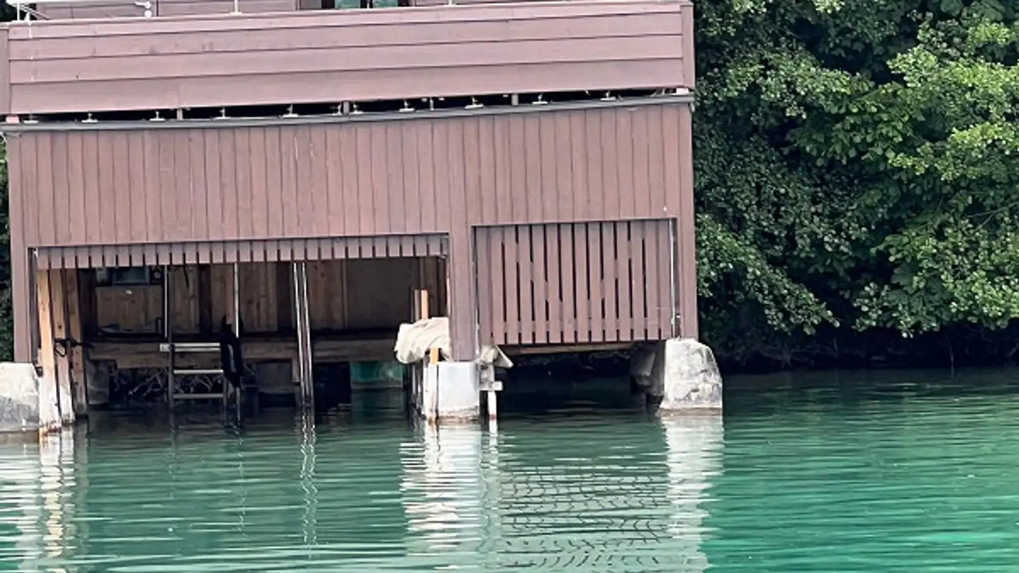 Single house for sale - Staadmattstrasse, 5712 Beinwil am See