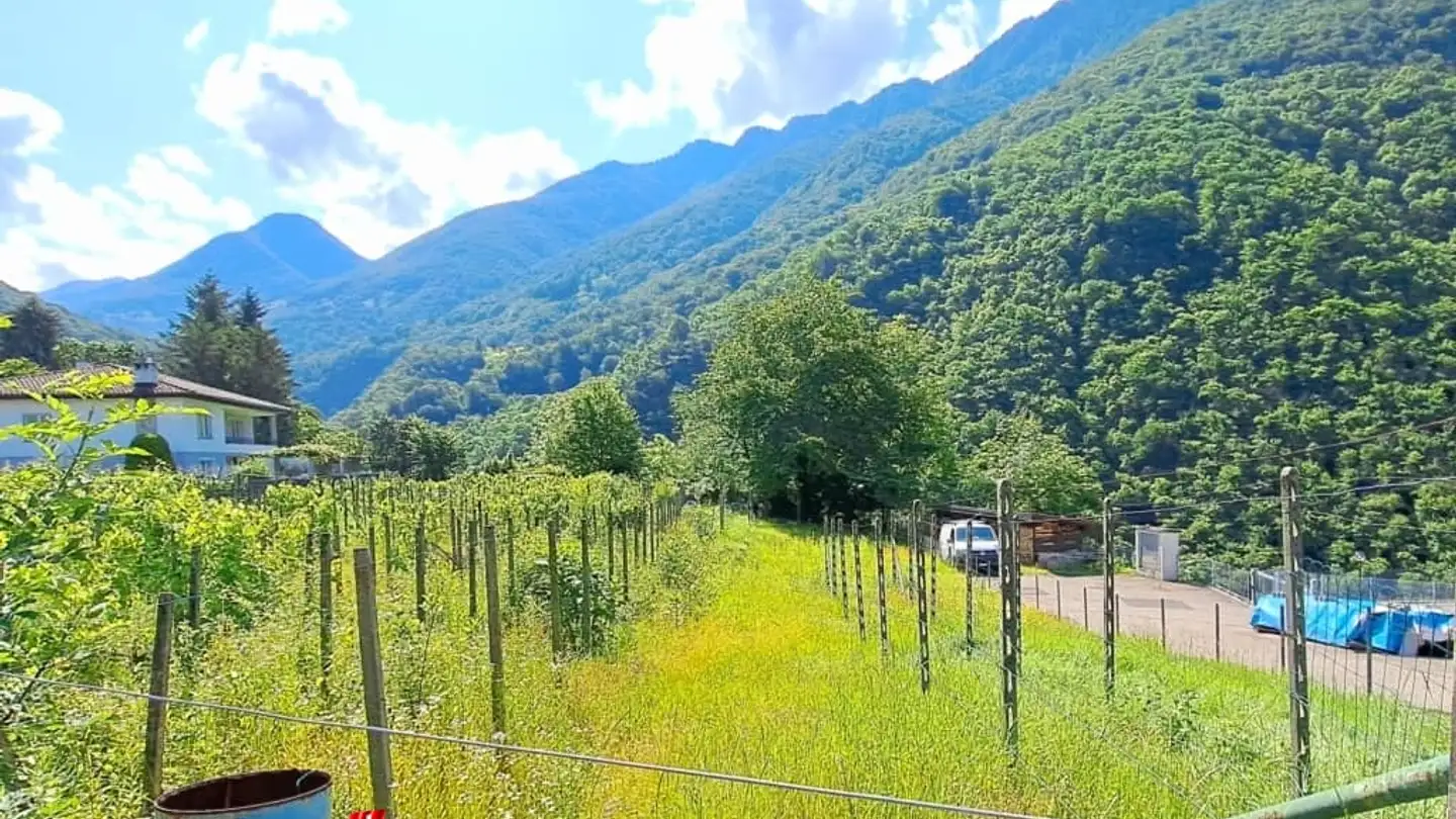 Terreno edificabile in vendita - Via Campagna, 6582 Pianezzo - Photo 3