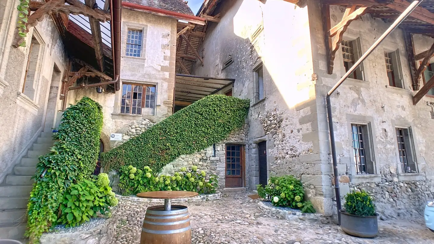 Apartment for rent - 1266 Duillier