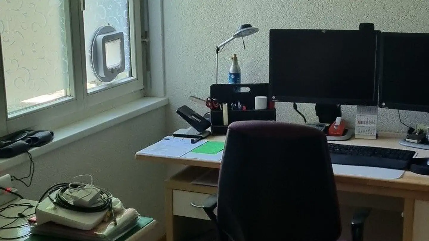 Terrassenwohnung mieten - Kürzihof 5, 8967 Widen - Foto 3